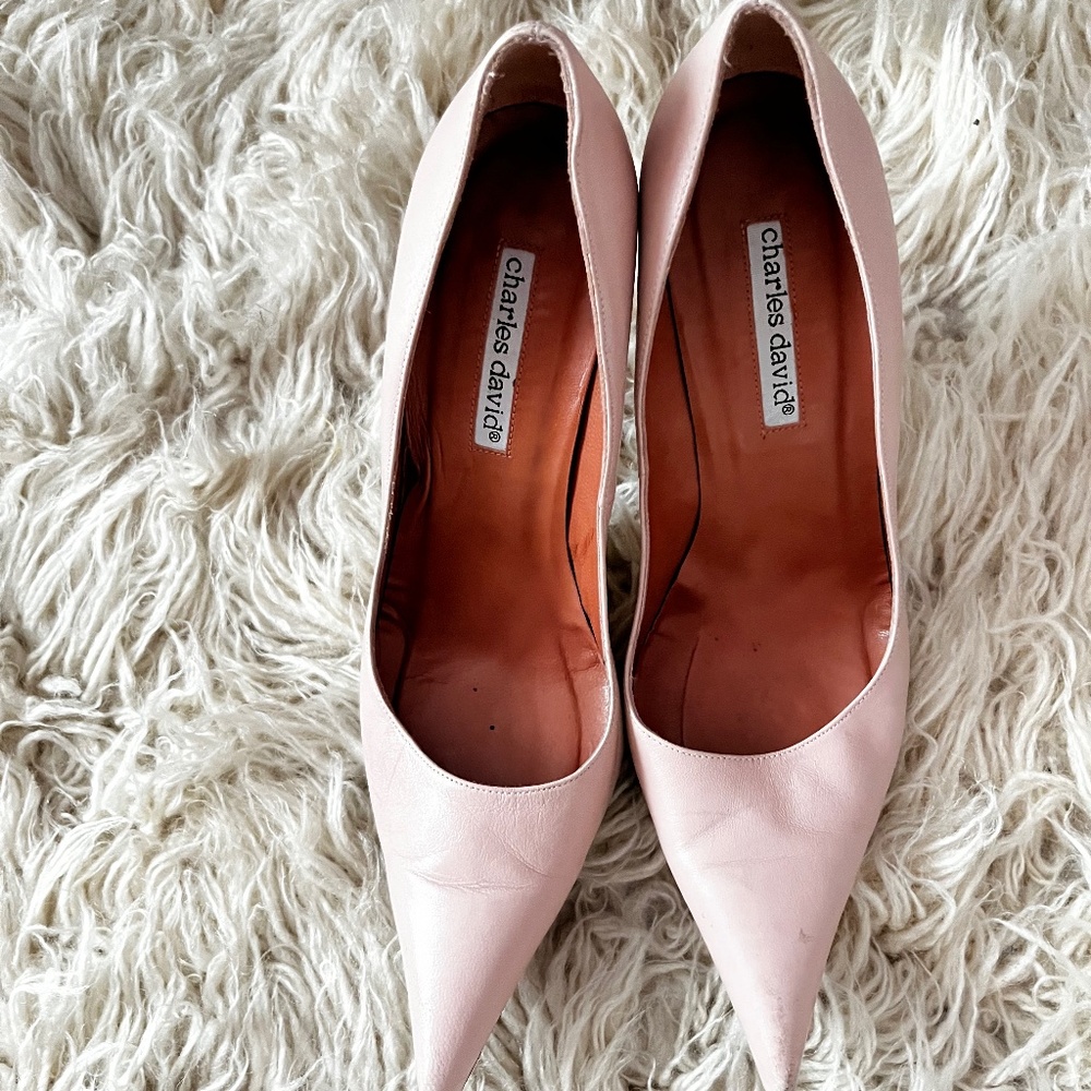 Women’s shoe size 8-1/2 by “Charles David”